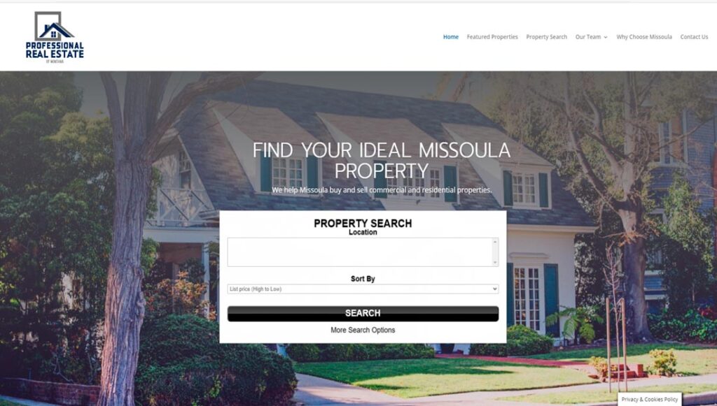 Professional Real Estate website homepage